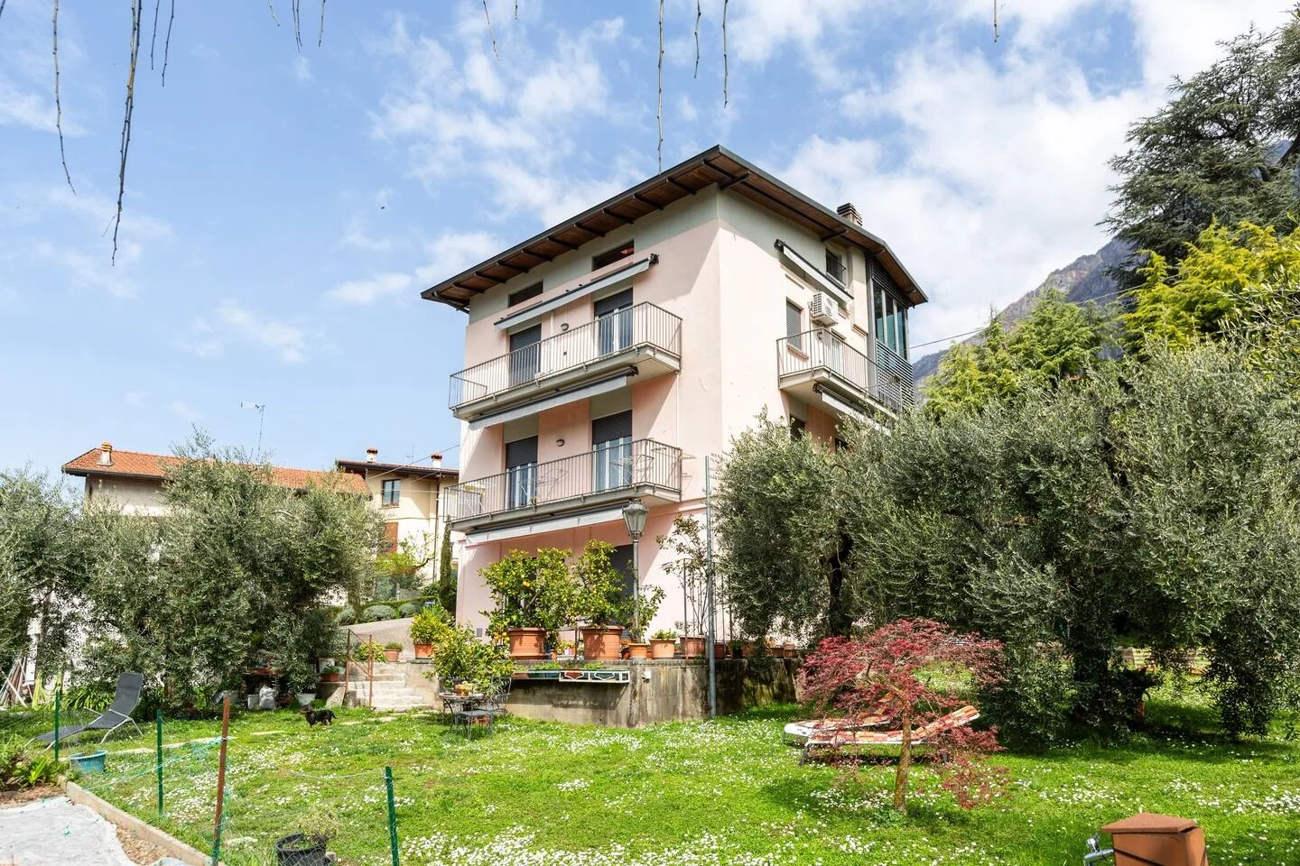 Garden with ancient olive trees at La Casa degli Ulivi, perfect for outdoor relaxation